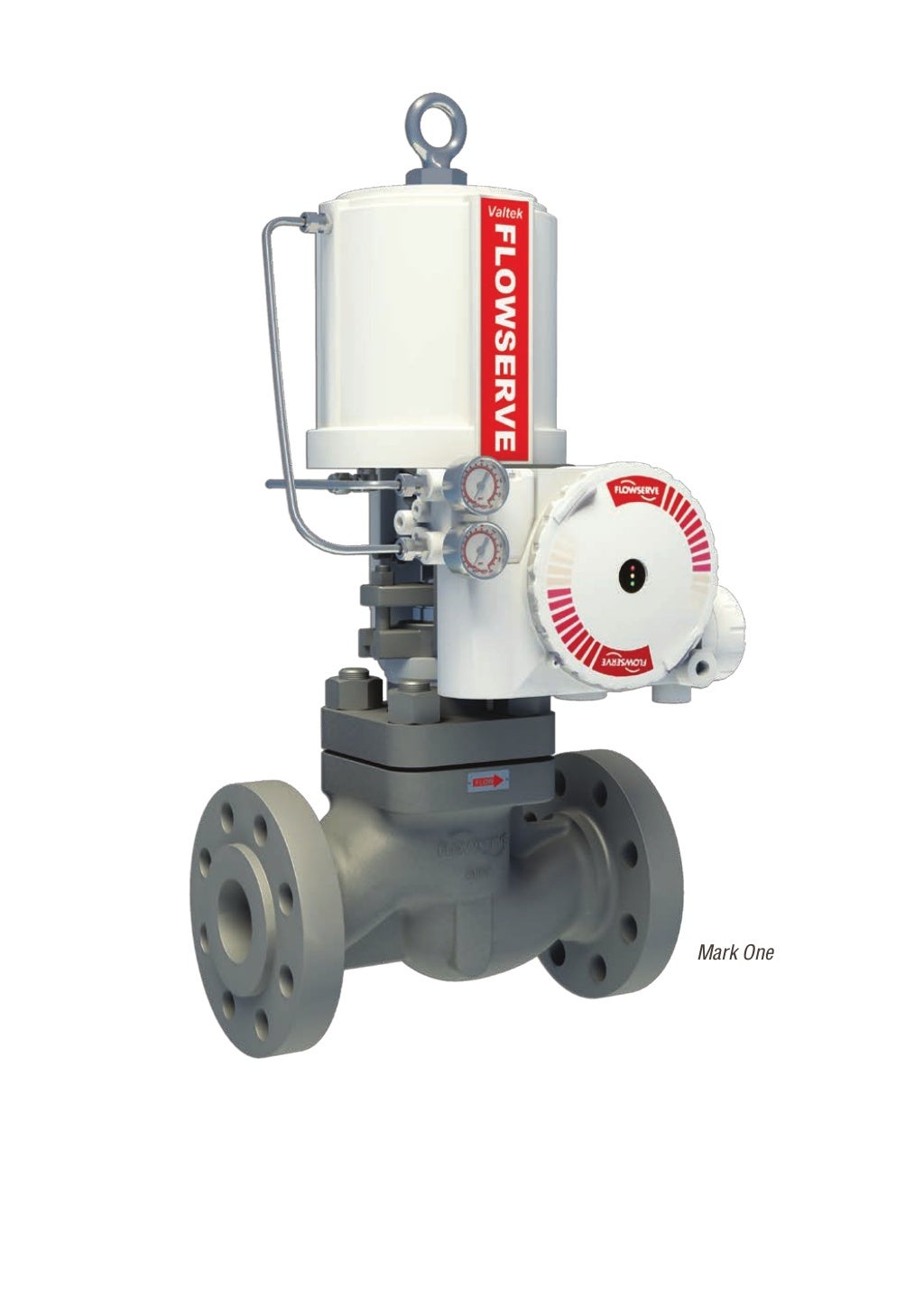 Flowserve Valve, Actuation and Instrumentation Portfolio