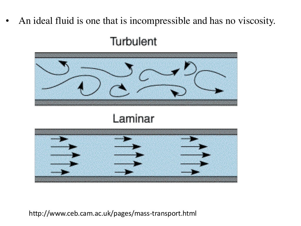 Flow Through Pipes