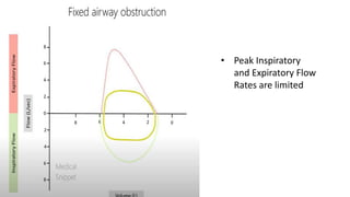 Flow Volume Loop Presentation.pptx
