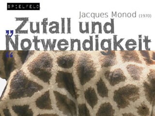 Positive und negative Stimmung – beides ist
ansteckend.
Zwei Zuversichtliche in ein zauderndes Team
gebracht und binnen weniger Tage haben Sie eine
neue, optimistische Gruppenkultur. Ein einzelner
Miesepeter wiederum kann Freude und Leistung
einer ganzen Abteilung zum Kippen bringen.
Positive Nachrichten befeuern und motivieren.
Negative Botschaften kosten zusätzlich. Neben den
damit verbundenen objektiven Beschränkungen
verbrauchen sie emotionale Energie und können mit
der Zeit die „Reserven“ ganz und gar aufzehren.
Diese „Spiralen“ – positiv wie negativ – sind extrem
ansteckend. Positive Effekte sollte man bewusst als
„Sog-Maschinen“ nutzen. Damit fördern Sie Ihre
Leistungskraft und Stresstoleranz. Suchen Sie
Menschen und Orte, die Sie stärken.
Die „Negativ-Spiralen“ gilt es als solche zu erkennen
und durch aktive (Selbst)Führung zu bremsen bzw.
zu unterbrechen: Meiden Sie Energie-Räuber – in
Form negativer Gedanken, negativer Menschen und
Situationen! Prüfen Sie, wo Sie verpflichtet sind und
nutzen Sie konsequent das NEIN, wo Sie frei sind. 96
 