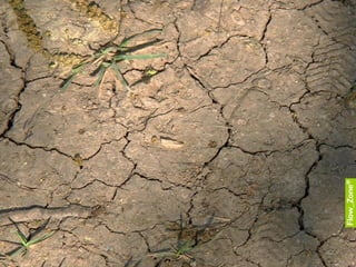 Flow Zone Know How BK Impuls E Learning Gesundheit 12-05