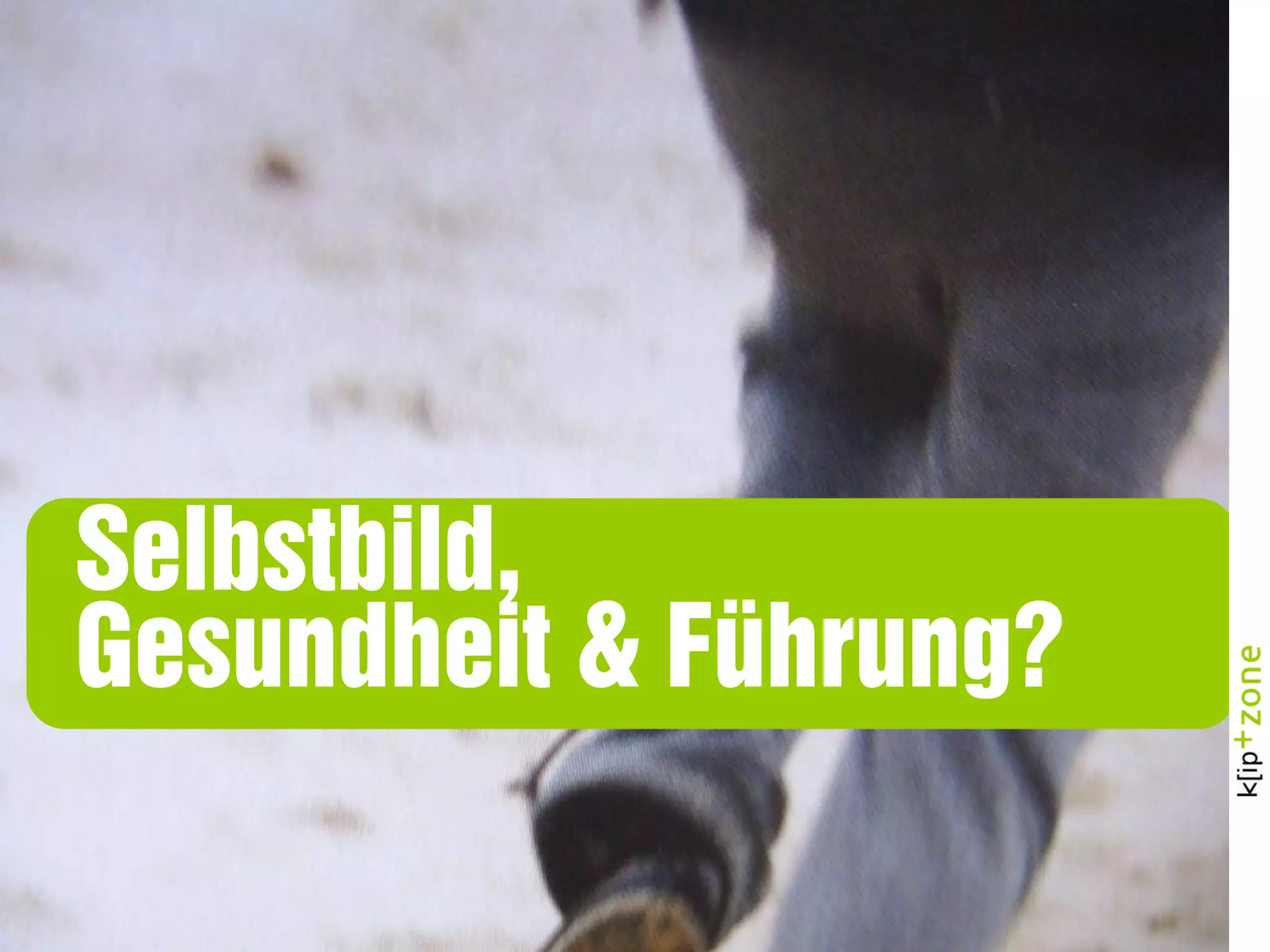 Selbstbild,
Gesundheit & Führung?
 