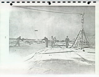 NPS Standards for Typeface and style