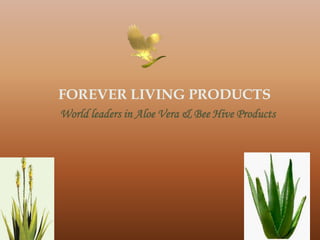 FOREVER LIVING PRODUCTS
World leaders in Aloe Vera & Bee Hive Products




                                                 1
 