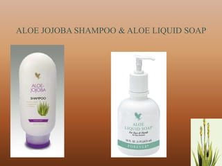 ALOE JOJOBA SHAMPOO & ALOE LIQUID SOAP




                                     18
 