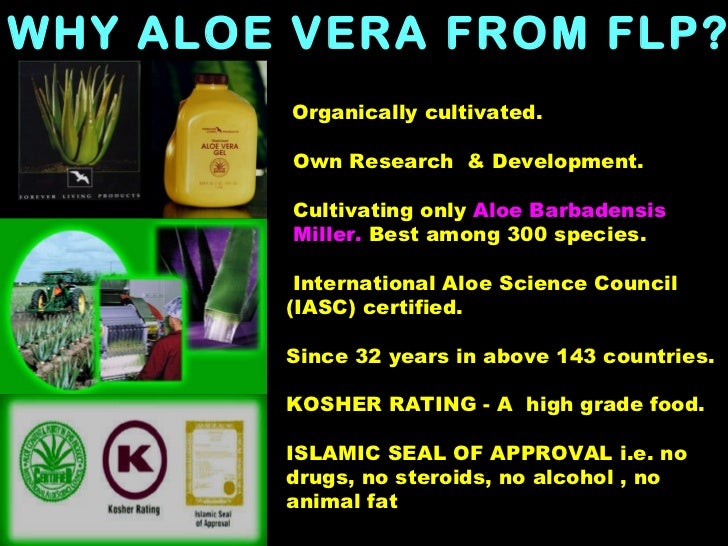 Flp business plan in hindi pdf picture