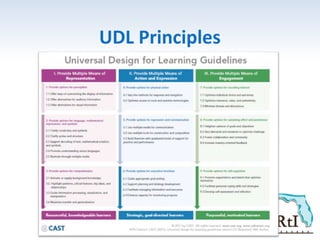 UDL Principles
 
