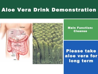 Aloe Vera Drink Demonstration Please take aloe vera for long term Main Function: Cleanse 