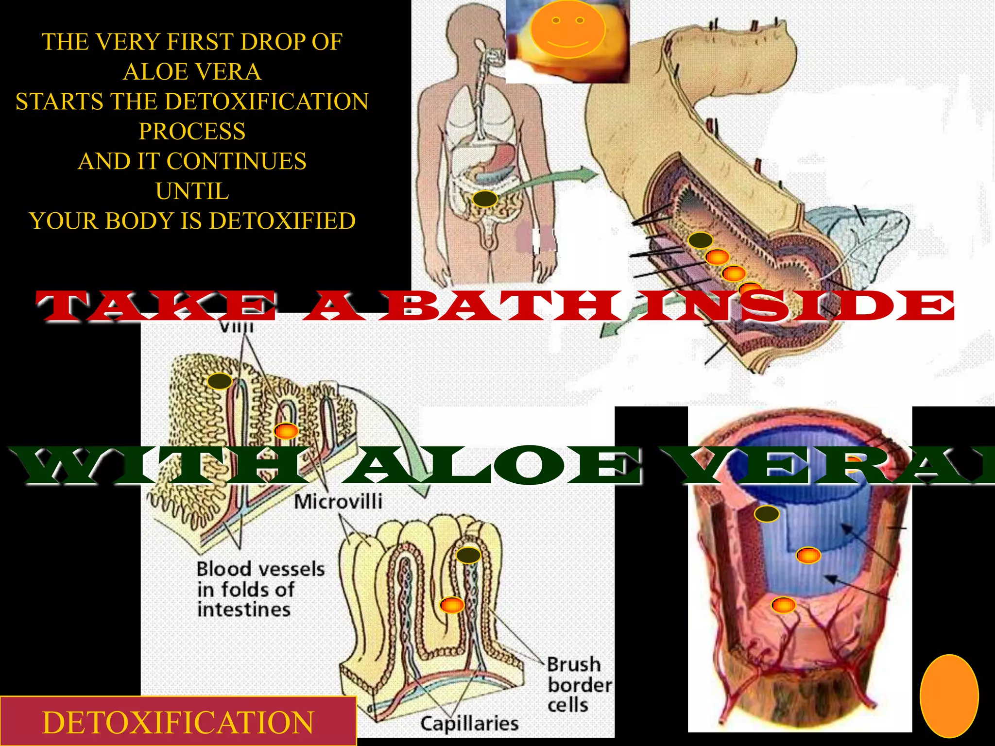 THE VERY FIRST DROP OF
        ALOE VERA
STARTS THE DETOXIFICATION
         PROCESS
    AND IT CONTINUES
          UNTIL
 YOUR BODY IS DETOXIFIED


 TAKE A BATH INSIDE


WITH ALOE VERAL



 DETOXIFICATION
 