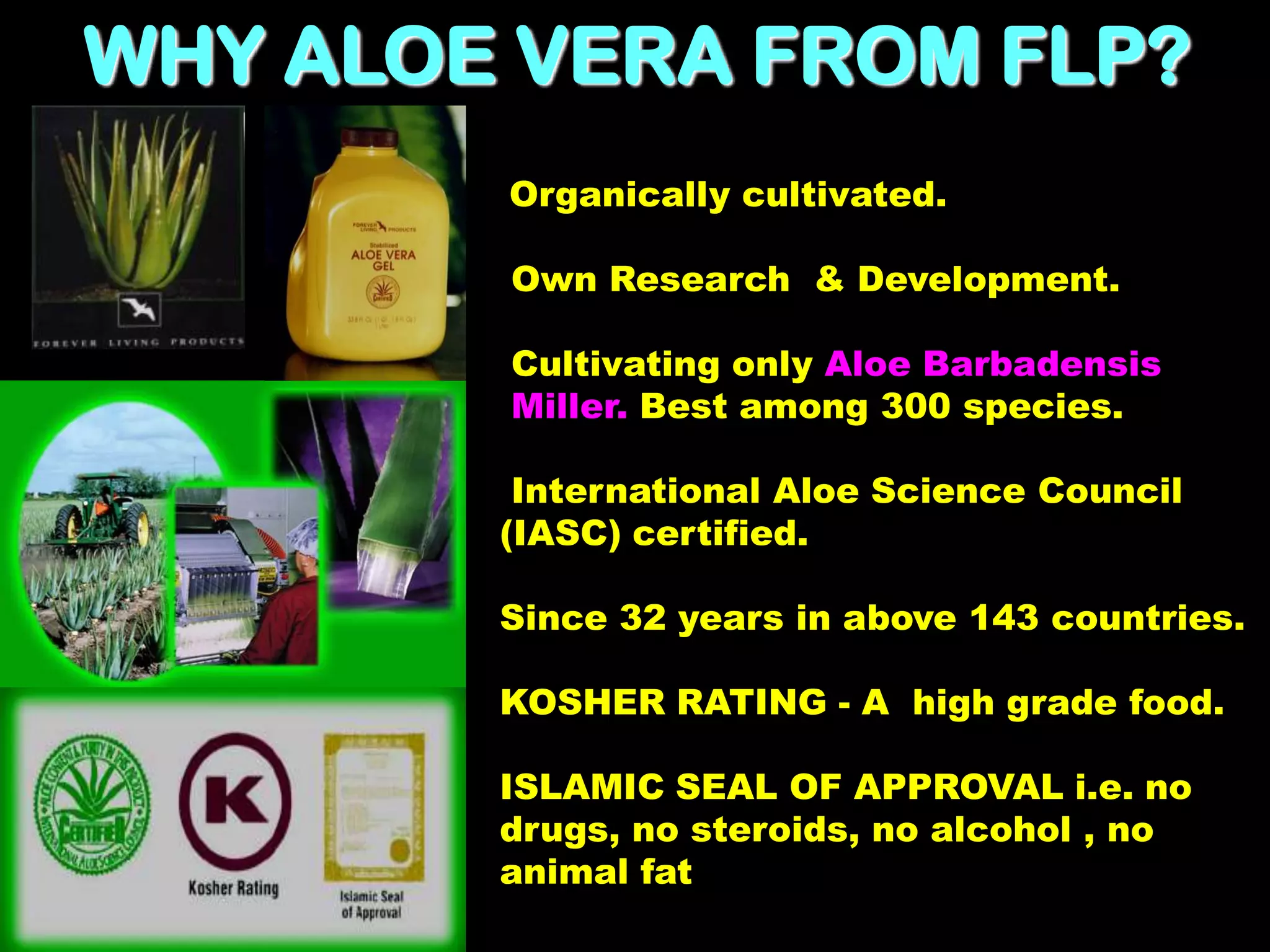 WHY ALOE VERA FROM FLP?
        Organically cultivated.

        Own Research & Development.

        Cultivating only Aloe Barbadensis
        Miller. Best among 300 species.

         International Aloe Science Council
        (IASC) certified.

        Since 32 years in above 143 countries.

        KOSHER RATING - A high grade food.

        ISLAMIC SEAL OF APPROVAL i.e. no
        drugs, no steroids, no alcohol , no
        animal fat
 