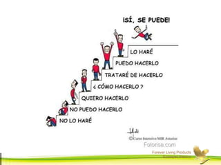 Forever Living Products
Ecatepec,Mexico
 