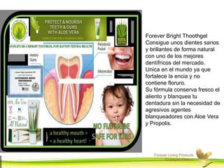 Forever Living Products
Ecatepec,Mexico
Forever Bright Thoothgel
Consigue unos dientes sanos
y brillantes de forma natural
con uno de los mejores
dentífricos del mercado.
Unica en el mundo ya que
fortalece la encia y no
contiene floruro.
Su fórmula conserva fresco el
aliento y blanquea tu
dentadura sin la necesidad de
agresivos agentes
blanqueadores con Aloe Vera
y Propolis.
 