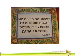 Forever Living Products
Ecatepec,Mexico
 