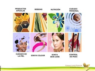 Forever Living Products
Ecatepec,Mexico
 