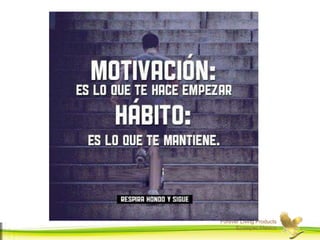 Forever Living Products
Ecatepec,Mexico
 