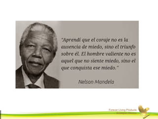 Forever Living Products 
Ecatepec,Mexico 
 