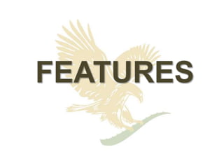  This kind of aloe vera plant contains it’s greatest nutritional properties at 2 to 4 years of age.