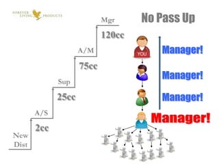 ALOE VERA DRINKSHealthy Digestive SystemWEIGHT MANAGEMENTLo-Carb – No StimulantsNUTRITIONExclusive FormulasPERSONAL CAREHead-to-Toe Aloe FormulasCOLOR COSMETICSAloe-Based with Marine Extracts