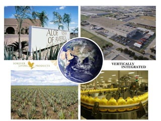 Executive Committeemore than300 yearsNetwork MarketingExperienceFounded 1978Scottsdale, Arizona“Largest Private Company”Arizona 100“6th Fastest Growing PrivateCompany in America”Inc 500 Magazine“No 1 Privately Held Company”Business Journal“Billion Dollar Club”Direct Selling NewsRex Maughan - Founder & CEO