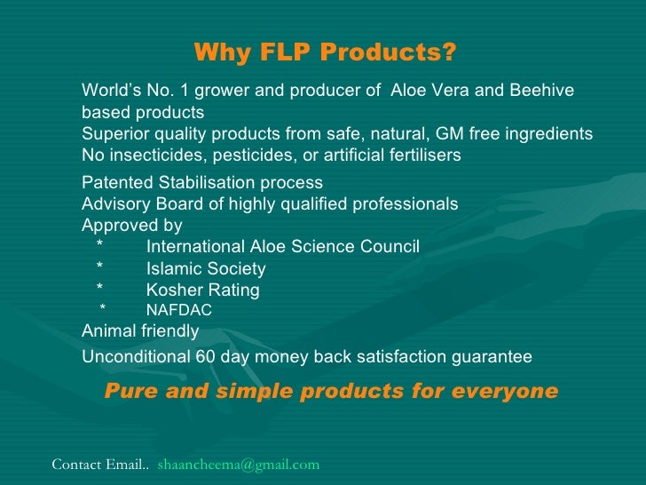 Flp business plan in hindi pdf picture