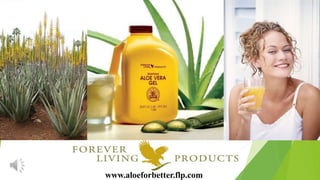 www.aloeforbetter.flp.com 
 