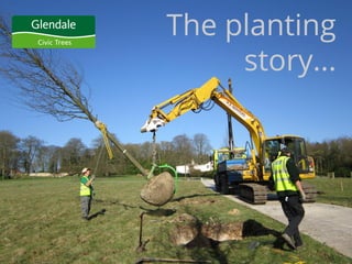 The planting
story...
 