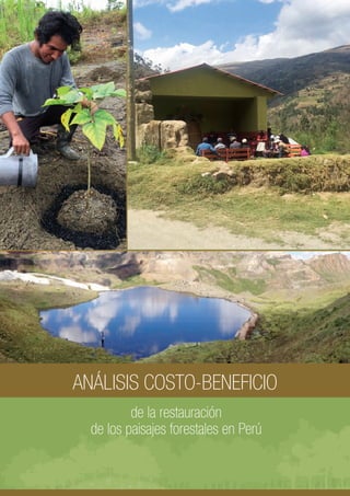 ANÁLISIS COSTO-BENEFICIO
de la restauración
de los paisajes forestales en Perú
 