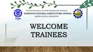 Technical Education and Skills Development Authority
MAYON CASTILLA SORSOGON
WELCOME
TRAINEES
SORSOGON NATIONAL AGRICULTURAL SCHOOL
 