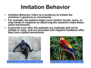 • Imitation Behavior refers to a tendency to imitate the
examiner’s gestures or movements.
• For example, the patient might cover his/her mouth, wave, or
clap hands in response to observing the examiner make these
same movements.
• It persists even after the patients are explicitly told not to
imitate or copy, and are provided with negative feedback after
they have copied movements.
Echopraxia (imitating the examiner's gestures) Echolalia (repeating the examiner's words)
Imitation Behavior
 