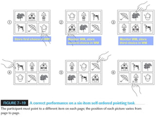 Store first choice in WM Monitor WM, store
second choice in WM
Monitor WM, store
third choice in WM
 