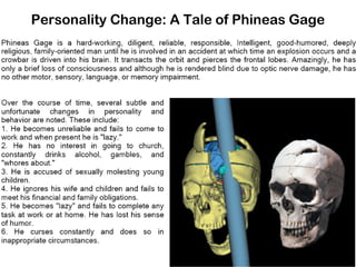 Personality Change: A Tale of Phineas Gage
 