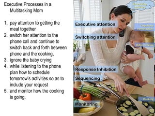 Executive Processes in a
Multitasking Mom
1. pay attention to getting the
meal together
2. switch her attention to the
phone call and continue to
switch back and forth between
phone and the cooking,
3. ignore the baby crying
4. while listening to the phone
plan how to schedule
tomorrow’s activities so as to
include your request
5. and monitor how the cooking
is going.
Executive attentionExecutive attention
Switching attentionSwitching attention
Response InhibitionResponse Inhibition
SequencingSequencing
MonitoringMonitoring
Baby’s cryingBaby’s crying
CookingCooking
TelephoneTelephone
conversationconversation
SchedulingScheduling
activitiesactivities
 