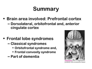 Summary
• Brain area involved: Prefrontal cortex
– Dorsolateral, orbitofrontal and, anterior
cingulate cortex
• Frontal lobe syndromes
– Classical syndromes
• Orbitofrontal syndrome and,
• Frontal convexity syndrome
– Part of dementia
 