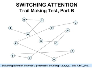 SWITCHING ATTENTION
Trail Making Test, Part B
1
2
3
4
5
6
7
A
B
C
D
E
F
G
Switching attention between 2 processes: counting 1,2,3,4,5… and A,B,C,D,E…
 