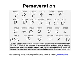 The tendency to repeat the previous response is called perseveration
Perseveration
 