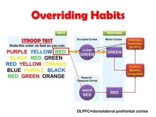 Motor Cortex
Superior
Temporal Cortex
Occipital Cortex
Overriding Habits
STROOP TEST
State the color as fast as you can
color
GREEN
word
RED
RED
GREEN
Conflict
Monitor
[cingulate]
Attention
Controller
[DLPFC]
INPUT RESPONSE
DLPFC=dorsolateral prefrontal cortex
 