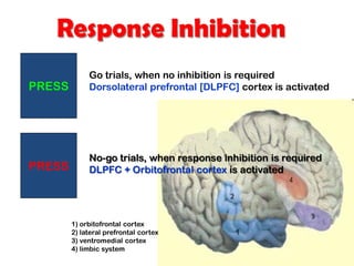 PRESS
PRESS
Go trials, when no inhibition is required
Dorsolateral prefrontal [DLPFC] cortex is activated
No-go trials, when response inhibition is required
DLPFC + Orbitofrontal cortex is activated
1) orbitofrontal cortex
2) lateral prefrontal cortex
3) ventromedial cortex
4) limbic system
Response Inhibition
 