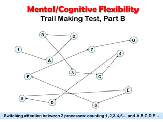 Mental/Cognitive Flexibility
Trail Making Test, Part B
1
2
3
4
5
6
7
A
B
C
D
E
F
G
Switching attention between 2 processes: counting 1,2,3,4,5… and A,B,C,D,E…
 
