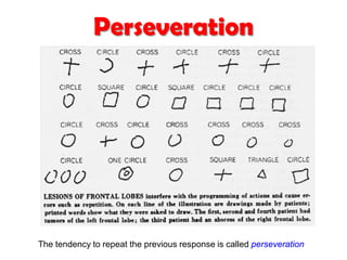 The tendency to repeat the previous response is called perseveration
Perseveration
 