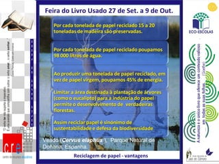 Veado ( Cervus elaphus  ),  Parque Natural de Doñana, Espanha. Feira do Livro Usado 27 de Set. a 9 de Out.  Reciclagem de papel - vantagens FEIRA DO LIVRO USADO 