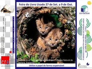 Crias de lince – ibérico ( Lynx pardinus  )  Parque Natural de Doñana, Espanha. Feira do Livro Usado 27 de Set. a 9 de Out.  Utilize o papel de forma responsável FEIRA DO LIVRO USADO 
