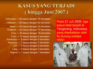 KASUS YANG TERJADI
             ( hingga Juni 2007 )
Indonesia — 99 kasus dengan 79 kematian.
 Vietnam — 93 kasus dengan 42 kematian     Pada 21 Juli 2005, tiga
   Mesir — 34 kasus dengan 14 kematian.    kasus fatal terjadi di
Thailand — 25 kasus dengan 17 kematian.    Tangerang, Indonesia,
    Cina — 25 kasus dengan 16 kematian.    yang disebabkan oleh
    Turki — 12 kasus dengan 4 kematian.    flu burung subtipe
Azerbaijan — 8 kasus dengan 5 kematian.    H5N1
 Kamboja — 7 kasus dengan 7 kematian.
      Irak — 3 kasus dengan 2 kematian.
     Laos — 2 kasus dengan 2 kematian.
   Nigeria — 1 kasus dengan 1 kematian.
 