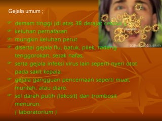 Gejala umum ;

 demam tinggi (di atas 38 derajat celcius ),
 keluhan pernafasan
 mungkin keluhan perut
 disertai gejala flu, batuk, pilek, radang
  tenggorokan, sesak nafas,
 serta gejala infeksi virus lain seperti nyeri otot
  pada sakit kepala.
 gejala gangguan pencernaan seperti mual,
  muntah, atau diare.
 sel darah putih (lekosit) dan trombosit
  menurun.
  ( laboratorium )
 
