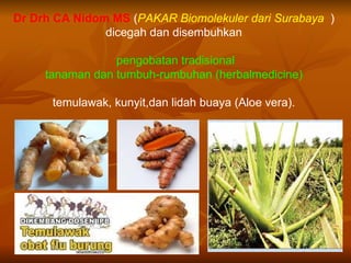 Dr Drh CA Nidom MS (PAKAR Biomolekuler dari Surabaya )
               dicegah dan disembuhkan

                 pengobatan tradisional
     tanaman dan tumbuh-rumbuhan (herbalmedicine)

      temulawak, kunyit,dan lidah buaya (Aloe vera).
 