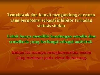 Temulawak dan kunyit mengandung curcuma
 yang berpotensi sebagai inhibitor terhadap
              sintesis sitokin

Lidah buaya memiliki kandungan emodin dan
 scutellaria yang berfungsi sebagai antiviral.

  Bahan itu mampu menghancurkan enzim
    yang terdapat pada virus flu burung.
 