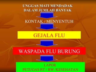 UNGGAS MATI MENDADAK
 DALAM JUMLAH BANYAK


  KONTAK / MENYENTUH


      GEJALA FLU


WASPADA FLU BURUNG

          LAPOR
 PETUGAS RT / RW /KESEHATAN
 