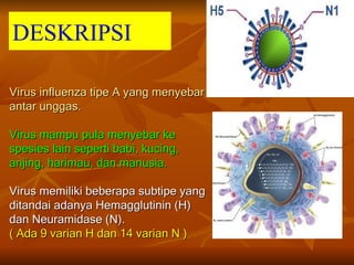 DESKRIPSI

Virus influenza tipe A yang menyebar
antar unggas.

Virus mampu pula menyebar ke
spesies lain seperti babi, kucing,
anjing, harimau, dan manusia.

Virus memiliki beberapa subtipe yang
ditandai adanya Hemagglutinin (H)
dan Neuramidase (N).
( Ada 9 varian H dan 14 varian N )
 