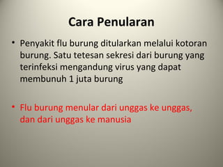 Cara Penularan
• Penyakit flu burung ditularkan melalui kotoran
burung. Satu tetesan sekresi dari burung yang
terinfeksi mengandung virus yang dapat
membunuh 1 juta burung
• Flu burung menular dari unggas ke unggas,
dan dari unggas ke manusia

 