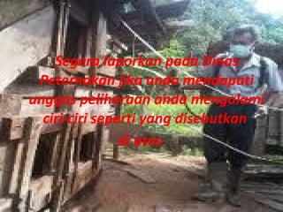 Segera laporkan pada Dinas
Peternakan jika anda mendapati
unggas peliharaan anda mengalami
ciri-ciri seperti yang disebutkan
di atas.

 