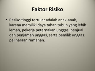 Faktor Risiko
• Resiko tinggi tertular adalah anak-anak,
karena memiliki daya tahan tubuh yang lebih
lemah, pekerja peternakan unggas, penjual
dan penjamah unggas, serta pemilik unggas
peliharaan rumahan.

 